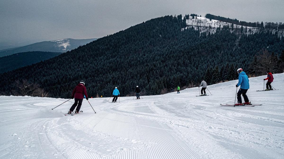 Skiers on a groomed piste below a forested ridge in the Ukrainian Carpathians